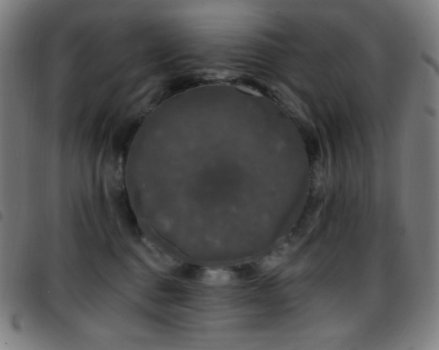 X0000097790376200803071417