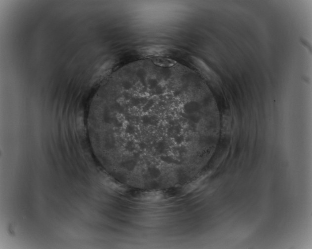 X0000097790377200803071417