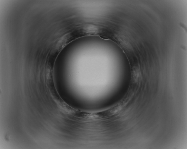 X0000097790379200803071417