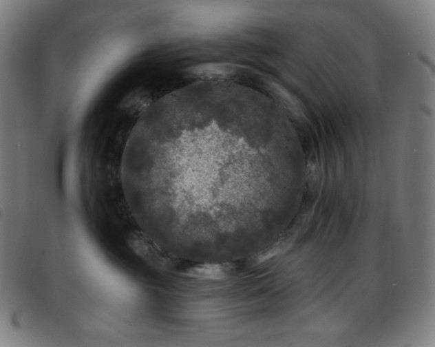 X0000097790381200803071417