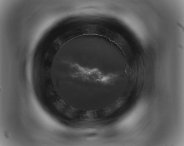 X0000097790383200803071417