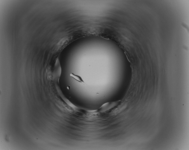 X0000097790384200803071417