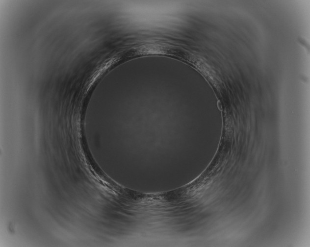 X0000097790386200803071417