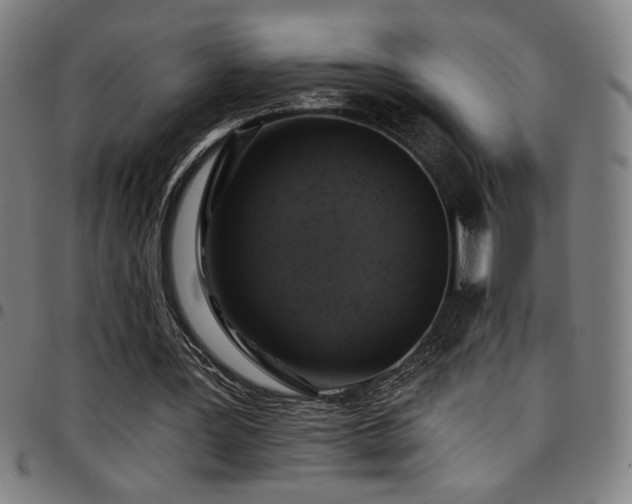 X0000097790387200803071417