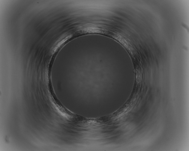 X0000097790390200803071417