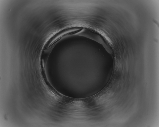 X0000097790391200803071417