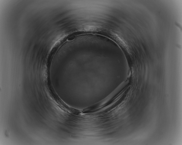 X0000097790392200803071417