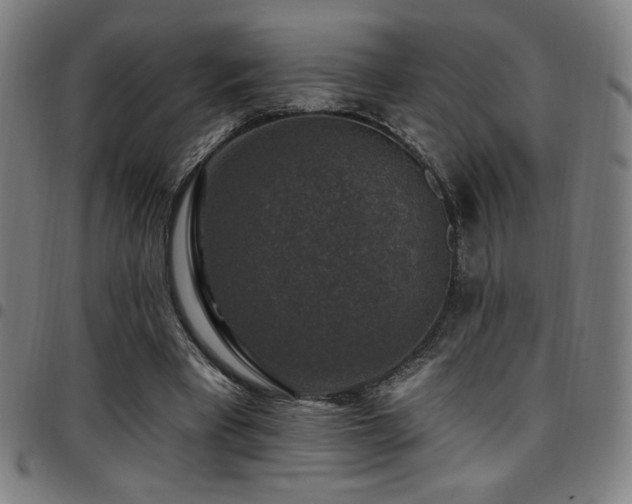 X0000097790393200803071417