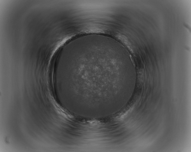 X0000097790395200803071417