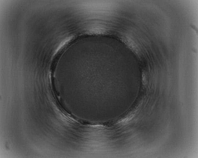 X0000097790396200803071417
