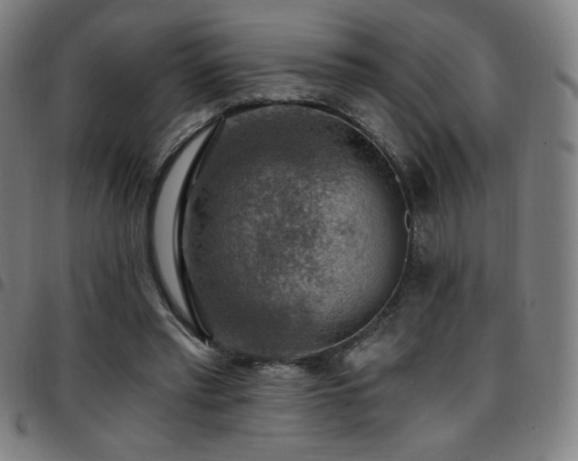 X0000097790397200803071417