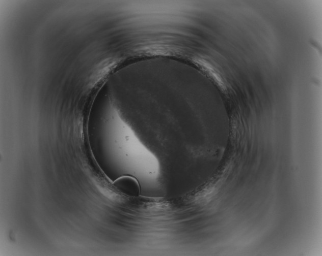 X0000097790398200803071417