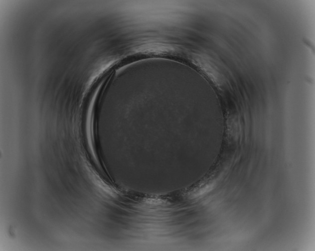 X0000097790399200803071417