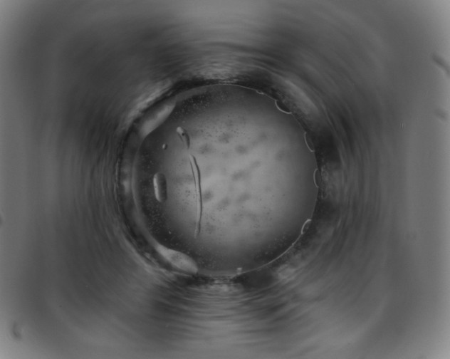 X0000097790404200803071417
