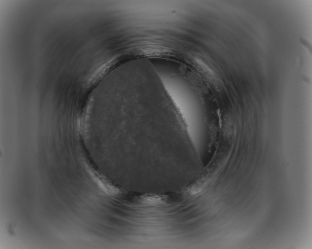 X0000097790405200803071417