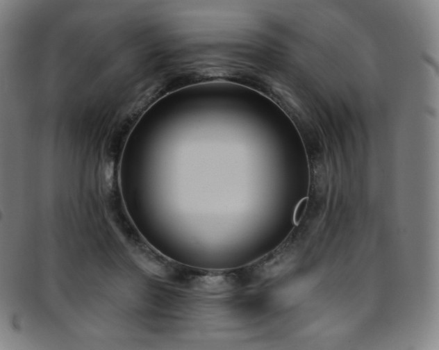 X0000097790406200803071416