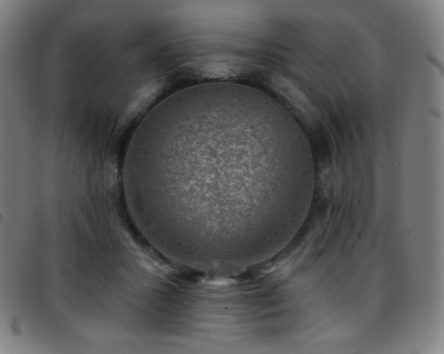 X0000097790407200803071416