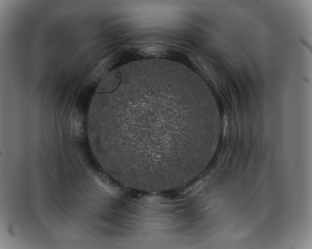 X0000097790408200803071416