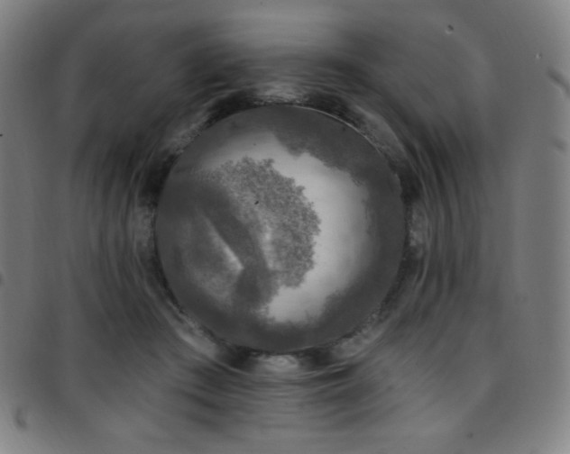 X0000097790409200803071416