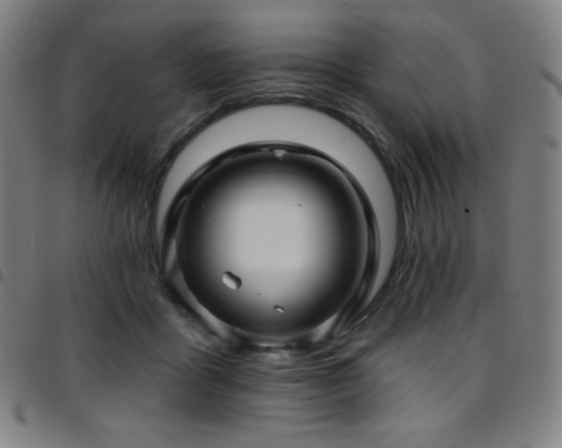 X0000097790411200803071416