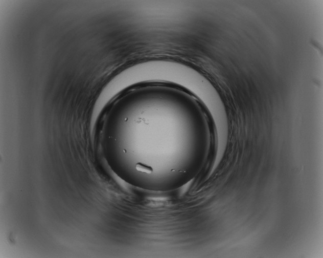 X0000097790415200803071416