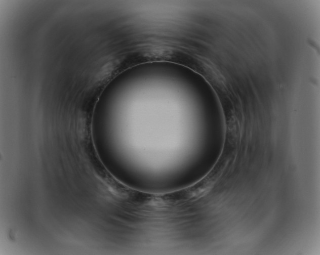 X0000097790416200803071416