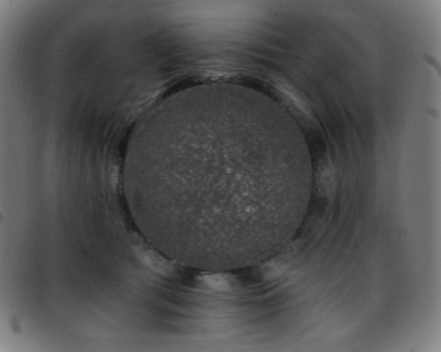 X0000097790417200803071416