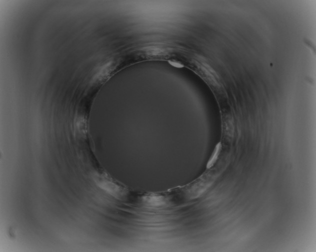 X0000097790419200803071416