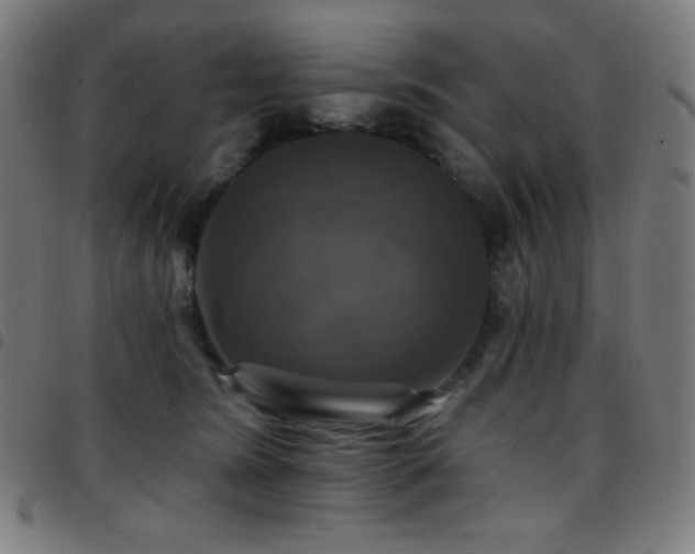 X0000097790420200803071416