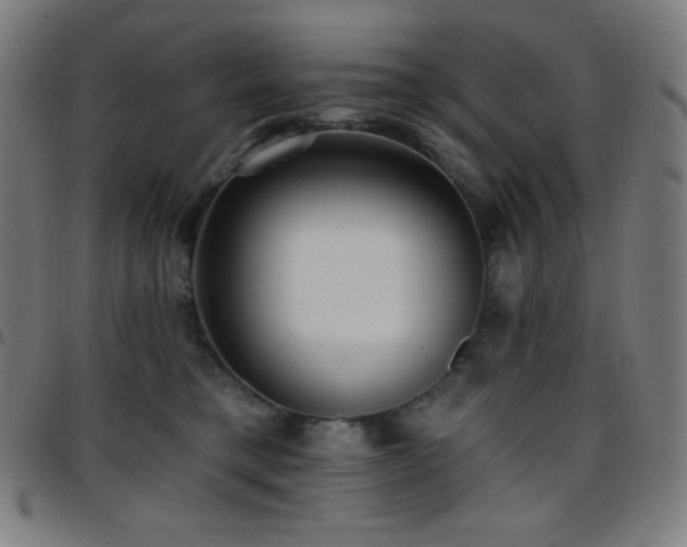 X0000097790421200803071416