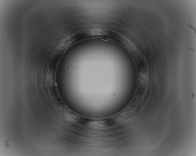 X0000097790422200803071416