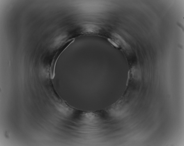 X0000097790423200803071416