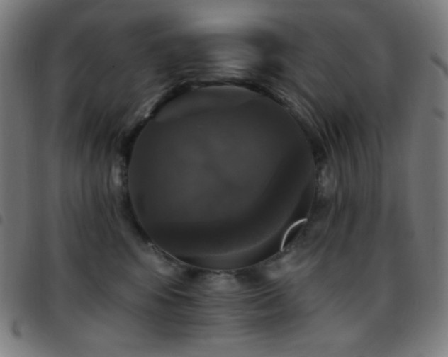 X0000097790424200803071416