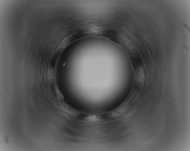 X0000097790425200803071416