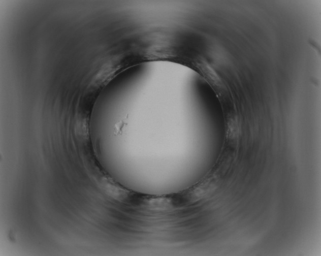 X0000097790426200803071416