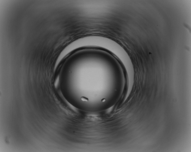 X0000097790427200803071416