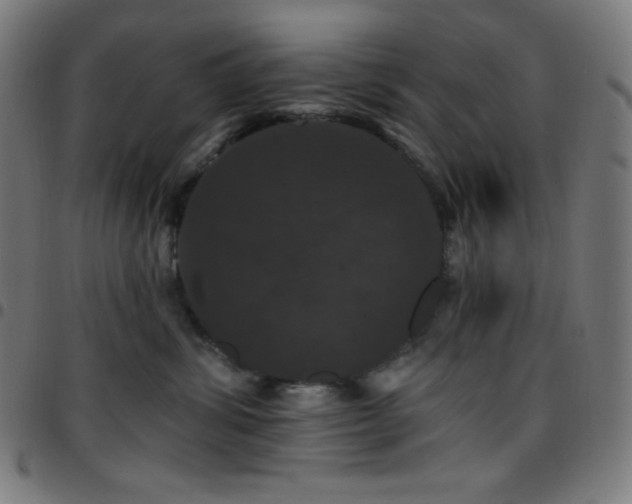 X0000097790428200803071416