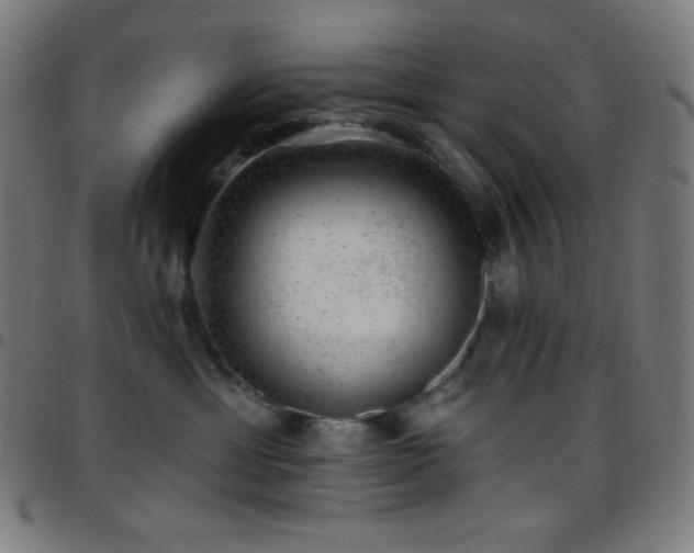 X0000097790429200803071416