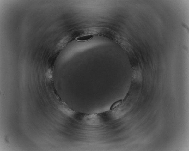 X0000097790431200803071416