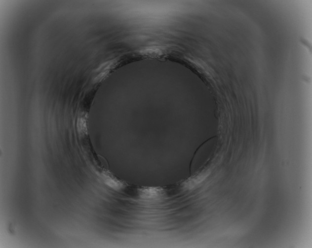 X0000097790432200803071416
