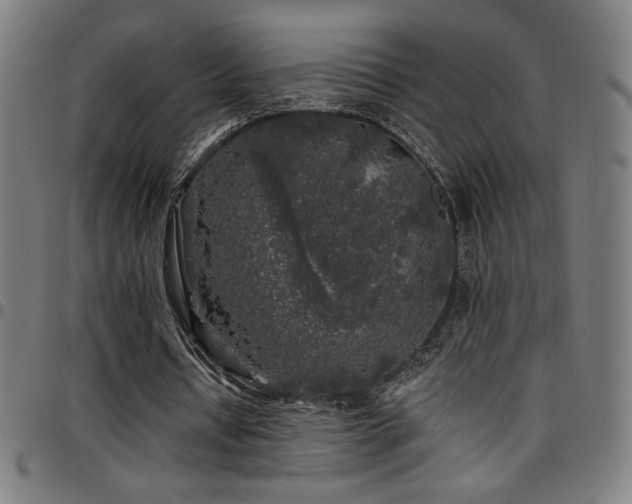 X0000097790434200803071415