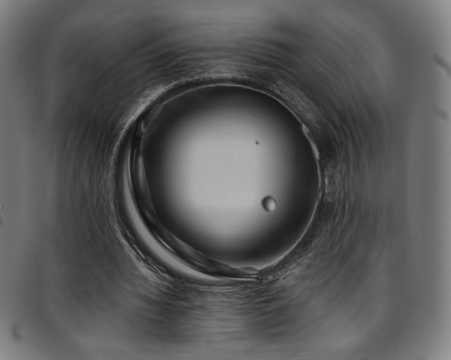 X0000097790436200803071415