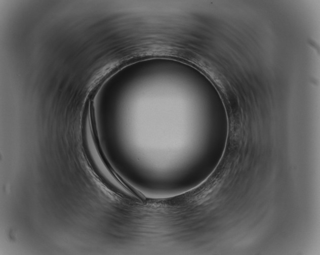 X0000097790437200803071415