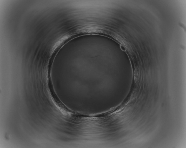 X0000097790438200803071416