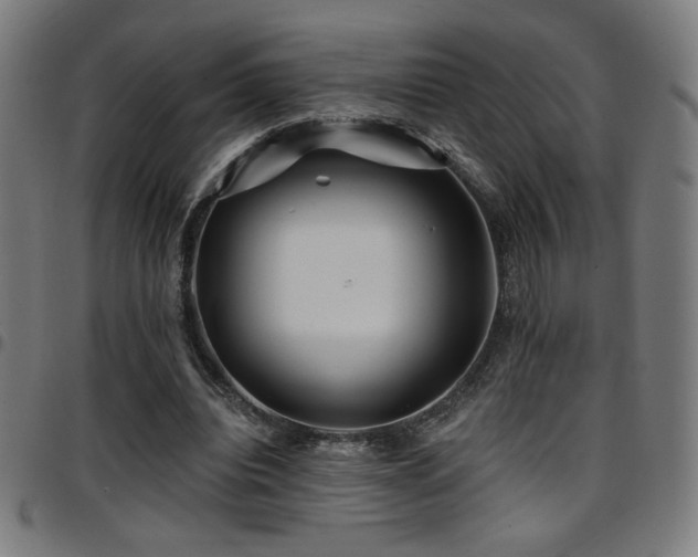 X0000097790440200803071416