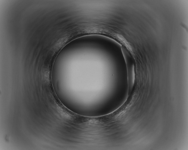 X0000097790441200803071416