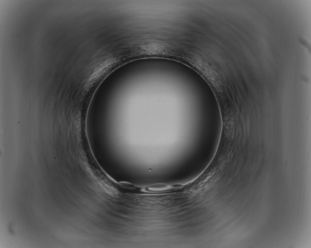 X0000097790442200803071416
