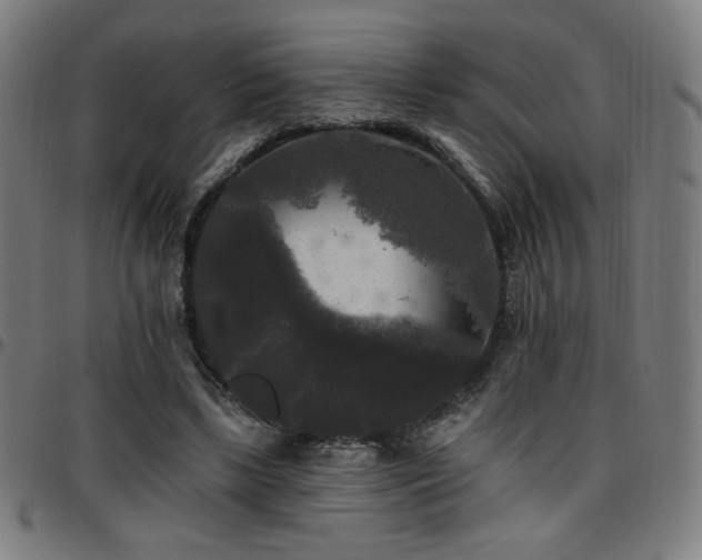 X0000097790443200803071416