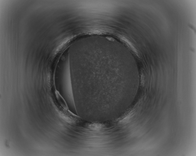 X0000097790444200803071416