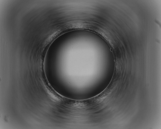 X0000097790445200803071416